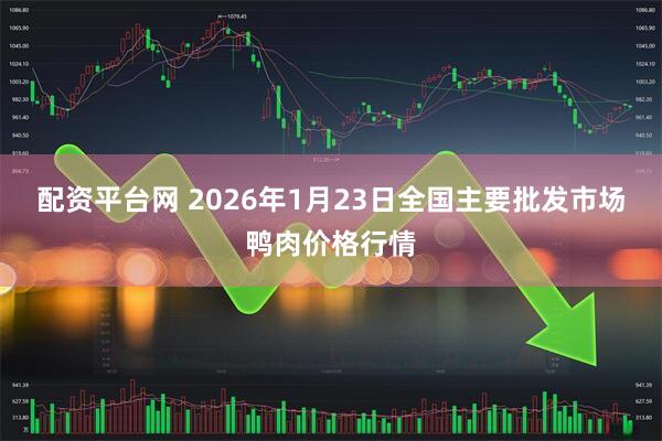 配资平台网 2026年1月23日全国主要批发市场鸭肉价格行情