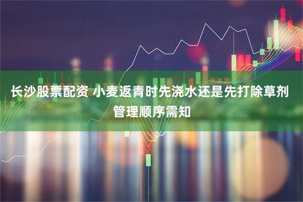 长沙股票配资 小麦返青时先浇水还是先打除草剂 管理顺序需知