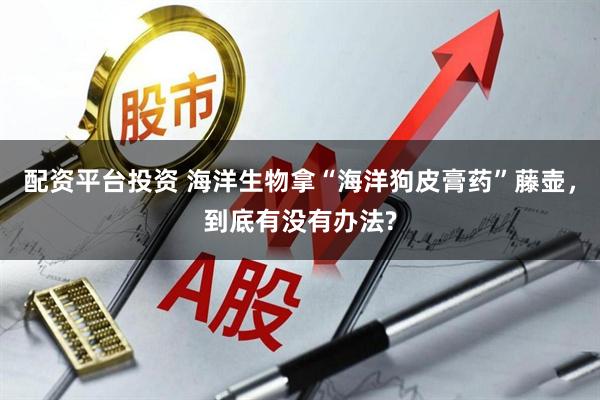 配资平台投资 海洋生物拿“海洋狗皮膏药”藤壶，到底有没有办法?