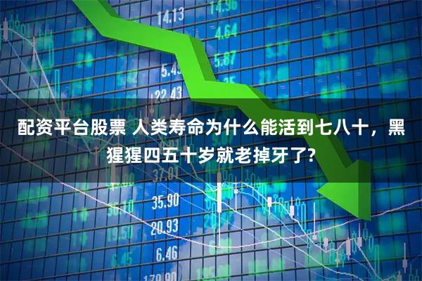 配资平台股票 人类寿命为什么能活到七八十，黑猩猩四五十岁就老掉牙了?